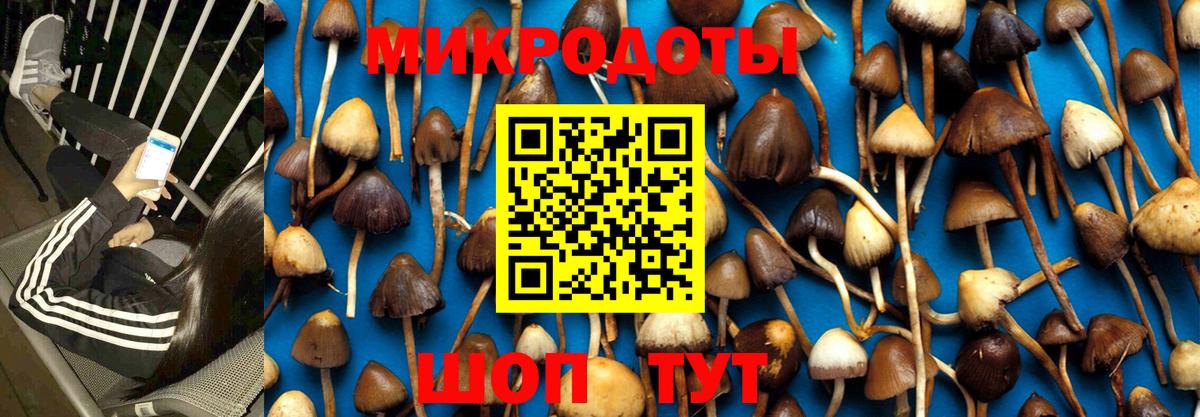 Псилоцибиновые грибы ЛСД  Вход с VPN  Псилоцибиновые грибы мицелий  Нарткала 